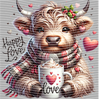 Valentine's Day-QRJ  5273